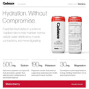 Cadence Electrolyte Sport Hydration Sparkling Drink Melonberry 330ml Cans 12 Pack