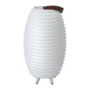 Kooduu Synergy 50 LED Lamp Bluetooth Speaker with Wine Cooler