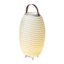 Kooduu Synergy 65 LED Lamp Bluetooth Speaker with Wine Cooler