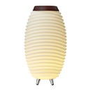 Kooduu Synergy 50 LED Lamp Bluetooth Speaker with Wine Cooler