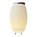 Kooduu Synergy 65 LED Lamp Bluetooth Speaker with Wine Cooler