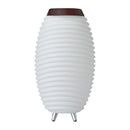 Kooduu Synergy 50 LED Lamp Bluetooth Speaker with Wine Cooler