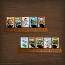 The Op 10 Days in the National Parks Board Game