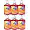 6 Pack Northfork Antibacterial Liquid Handwash 500ml Orange 635070313 (6 Pack) - SuperOffice