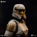 Iron Studios Star Wars: Ahsoka (TV) Captain Enoch 1:10 Statue
