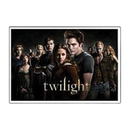 NECA Twilight Sticker F Cast