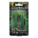 WizKids Games Wardlings Boy Wizard & Imp Pre Painted Minis