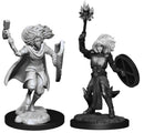 WizKids Games Dungeons & Dragons Nolzur's Marvelous Unpainted Miniatures: Changeling Cleric Male