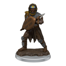 WizKids Games Dungeons & Dragons Icons of the Realms Premium Male Human Fighter