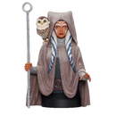 Diamond Select Toys Star Wars: Rebels Ahsoka Tano 1:6 Scale Bust