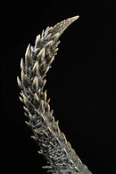 Pure Arts Monster Hunter World Nergigante Statue