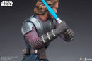 Sideshow Collectibles Star Wars Anakin Skywalker Mythos Statue