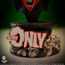 KnuckleBonz Misfits Jerry Only Anti Hero Bust 3D Vinyl