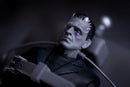 Jada Toys Universal Monsters Frankenstein Deluxe Box Set