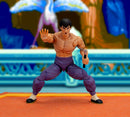Jada Toys Street Fighter Fei Long (P2) Deluxe 6" Action Figure
