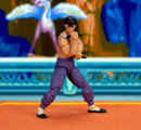 Jada Toys Street Fighter Fei Long (P2) Deluxe 6" Action Figure