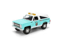 Jada Toys Smokey Bear 1980 Chevrolet Blazer 1:24 Scale Diecast Vehicle (with Figure)