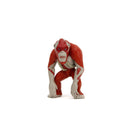 Jada Toys Godzilla x Kong: The New Empire 2.5" MetalFig  Assortment (12 Piece Display)