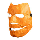 Trick Or Treat Studios Halloween (2007) Asylum Mask