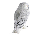 Noble Collection Harry Potter Hedwig Collector's Plush