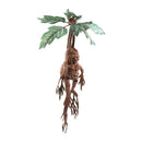 Noble Collection Harry Potter Mandrake Electronic Collector Plush