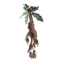 Noble Collection Harry Potter Mandrake Collector Plush
