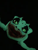 TriAction Toys Boglins Crazy Clown Hand Puppet