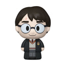 Funko Pop Harry Potter Harry (with chase) Mini Moment