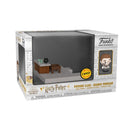Funko Pop Harry Potter Harry (with chase) Mini Moment