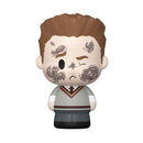 Funko Pop Harry Potter Harry (with chase) Mini Moment