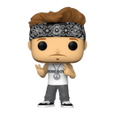 Funko Pop New Kids on the Block Donnie Pop! Vinyl