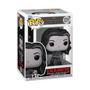 Funko Pop Werewolf by Night Elsa with Ravensclaw Pop! Vinyl