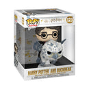 Funko Pop Harry Potter Harry & Buckbeak Pop! Ride