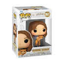Funko Pop Harry Potter Hermione with Crookshanks Pop! Vinyl