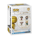 Funko Pop Harry Potter Harry Potter US Exclusive Metallic Pop! Vinyl [RS]