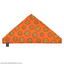 Cinereplicas One Piece (Netflix) Berry Coins & Nami Bandana Set