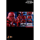 Hot Toys Star Wars: Episode IX Rise of Skywalker Sith Jet Trooper 1:6 Scale Collectable Action Figure