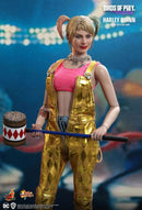 Hot Toys Birds of Prey Harley Quinn 1:6 Scale Collectable Action Figure