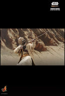 Hot Toys Star Wars: The Mandalorian Tusken Raider 1:6 Scale Collectable Action Figure