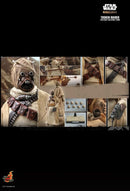 Hot Toys Star Wars: The Mandalorian Tusken Raider 1:6 Scale Collectable Action Figure