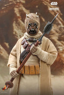 Hot Toys Star Wars: The Mandalorian Tusken Raider 1:6 Scale Collectable Action Figure