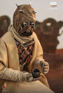 Hot Toys Star Wars: The Mandalorian Tusken Raider 1:6 Scale Collectable Action Figure