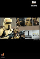 Hot Toys Star Wars: The Mandalorian Shoretrooper 1:6 Scale Collectable Action Figure