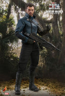 Hot Toys The Falcon and the Winter Soldier Winter Soldier 1:6 Scale Collectable Action Figure