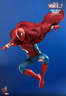 Hot Toys What If Zombie Hunter Spider Man 1:6 Scale Collectable Action Figure
