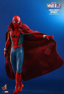 Hot Toys What If Zombie Hunter Spider Man 1:6 Scale Collectable Action Figure