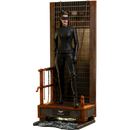 Hot Toys Batman The Dark Knight Trilogy Catwoman 1:6 Scale Collectable Action Figure
