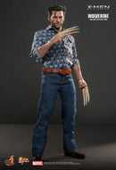 Hot Toys X Men 5: Day of Future Past Wolverine 1973 version 1:6 Scale Collectable Action Figure