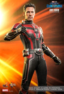 Hot Toys Ant Man and the Wasp: Quantumania Ant Man 1:6 Scale Collectable Action Figure