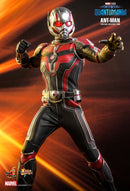 Hot Toys Ant Man and the Wasp: Quantumania Ant Man 1:6 Scale Collectable Action Figure